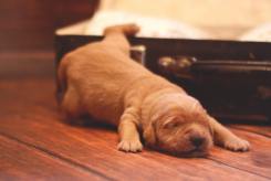 6a566d06e3d07d639b9336390659479a_245