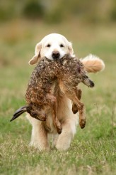 6a8b1b8bc04663dbad5b5300e7e6fbb3_164x246