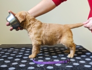 6a937d8df598d0ad468a864538def894_183