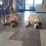 6a98490e9b7973594da7a49a90533ac4_160