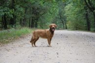 6b42c9513eca1c4067716cf7c757130e_194