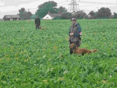 6b6d06ae96acb542e677effd0c703e21_232x174_fill