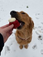 6b756c1c2fe6e5ce4c1ab004b3b32dbd_138x184