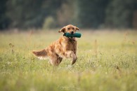 6b9d7926355675ac5b374f08aabd998a_195