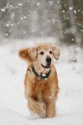 6bc28e80f4f03eae85ec17a7aef8bcb0_164x246