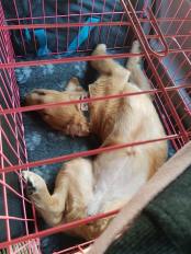 6bcfa8b6d2b2545a70c79602f5b27c35_174x232_fill