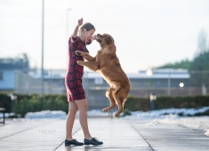 6c035063b290a6049fa66695db1f43da_235