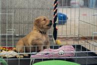 6c13891d66c360f837076c6c14214117_195x130_fill