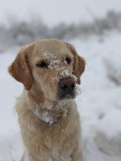 6c17fd882d698cc8b100820cee138531_174x232_fill