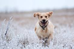 6c22d933cfff2346615fa1e64f979981_246