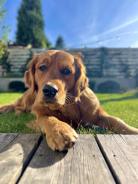 6c2a289b6e6de60c1e1b37cb0df852a6_138x184_fill