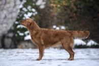 6c67f82bcf5dd871d093dbce5f2f8419_195