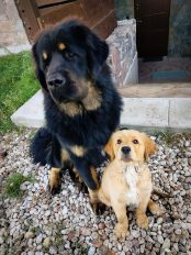 6c6f12e700c0025b2439143db9531a2a_174x232_fill