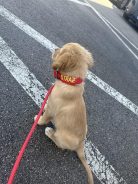 6cb5e1ff90ccfebb70d7600d84f8b463_138x184_fill