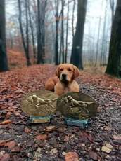 6ccf7a984e1618d567db08c490227396_172x230