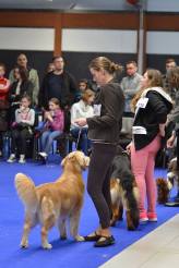 6cf42f5c1b4bbb3424441bb13a71e840_164x246