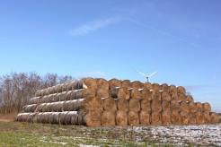 6d2533509ae27f98dbdda70e3b3b9376_246x164_fill