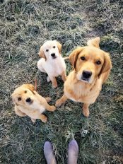 6d2ac57308776ec2fe9285bd9a79badb_174x232_fill