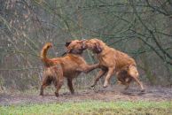 6d75d8c5847445d69e4bc9cd3adf02d8_194