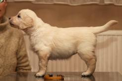 6d92eae0da9f61c8cd70d0186e79b8c8_246x164_fill