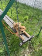 6e325bb3c40b5def5caf6287a7e6054b_138x184_fill