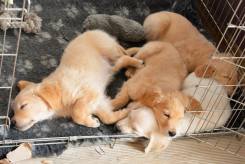 6e725004351ae5d7666a7115fcda3ccf_245