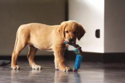 6e95825f5764f364020cfaedbaf02070_246