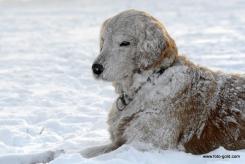 6ebf87a8f9257a3bc38bd13035b2c32f_245