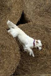 6ec613742ad1cc1530d3e65bc3a9ba91_164x246