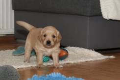 6f0e6829c2c552a736a23591ecef8c20_245