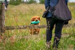 6f1be53161b1d7408fc69c4d914cd506_245