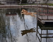 6f3b0ca49313635afef55f71eb6202ed_225