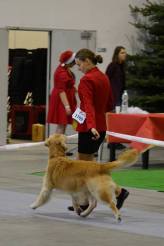 6f41c133b11a682214d513cff0cd0f61_164x246