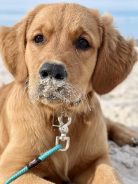 6f4a751f40d6cfa2f934be2f937c7c4a_138x184_fill