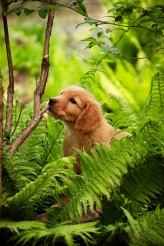 6f829408b70de1392a09e72d2d98e0e9_164x246