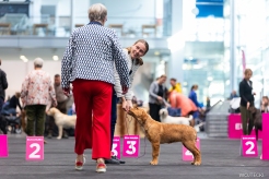 6f98b41fb6129cb331370e7b1b50f7e8_246