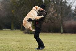 6fa6b644c53c129a8bb608c248ac75c5_246