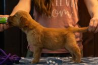 6fb36ee1c5ee2adf11a9b58e1ccc6403_194