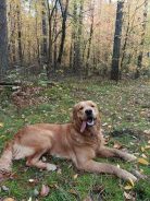 6fbc10a5e94fb44b1686fc2d758c5e9e_138x184_fill