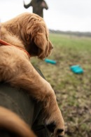 6fc19725a6ab228f6a3dd1438a9ece48_130x195