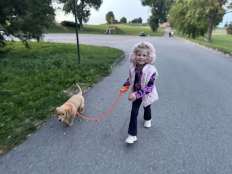 6fcba3d0c33ebea0b64fd35c3d9e9a43_232x174_fill