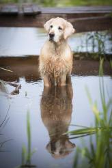 6fd96bf6aaddeeb83730604f5f80df78_164x246