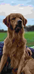 6fec776a68a7c78728a8acc1e60a22d9_136x294