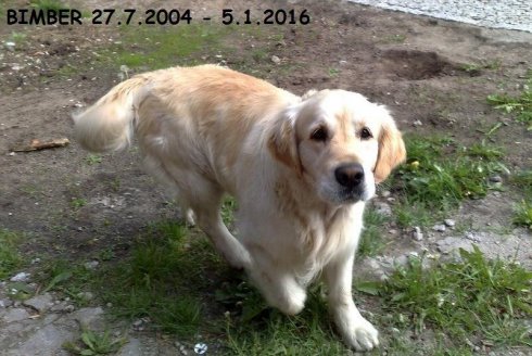 701e0fb07df44182f02cb0b1a7d5ed17_490