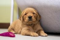 702296302ed3a5bd072b3dddbd45a209_195x130_fill