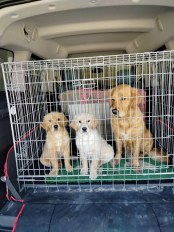 7025b41f948ee65456de9e6d3b26db5b_174x232_fill