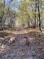 702fc64408c1979ffa6b5605aca6015c_174x232_fill