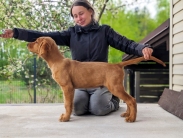 703a6b03294b5bcebc16d25c5e8716d3_183