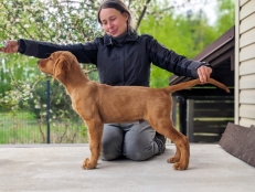 703a6b03294b5bcebc16d25c5e8716d3_231