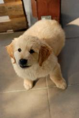 70a1ac3300e24cbf8bbb4d7941ba98ff_164x244